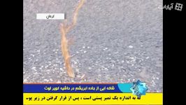 شناسایی شاخه جاده ابریشم در حاشیه کویر لوت