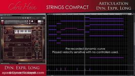 01.Chris Hein Strings Compact Overview