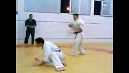 دفاع شخصی مبارزه خیابانی ken shin kan karate