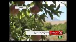 طبیعت زیبای سمیرم