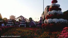 باغ گل میراکل دبی  Miracle Garden Dubai