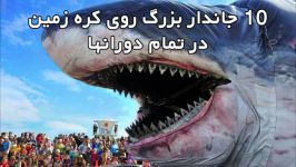 10 جاندار بزرگ روی کره زمین در تمام دورانها