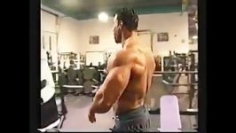 Kevin Levrone Bfto 2002 Part 2