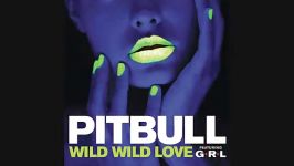 Pitbull Wild Wild Love