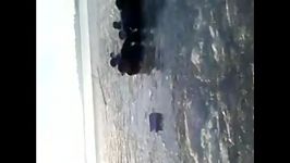 سبلانه لحظه غرق شدن دو دانشجو در دریاچه شورابیل اردبیل