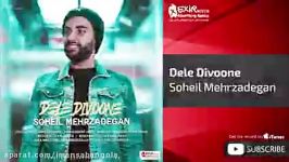 Soheil Mehrzadeghan  Dele Divoone سهیل مهرزادگان دل دیوونه