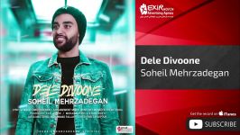 Soheil Mehrzadeghan  Dele Divoone سهیل مهرزادگان دل دیوونه