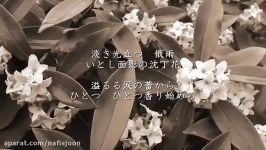 موزیک ویدئو آرامبخش زیبای ژاپنی