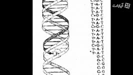 واتسون وکریک Watson and Crick