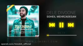 سهیل مهرزادگان  دله دیوونه  soheil mehrzadegan  dele divoone