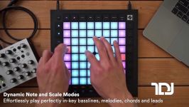 معرفی لانچ پد نویشن Novation Launchpad Pro  تهران دی جی