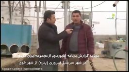 آنایوردوم  ایران گردو2  تولید نهال چندلر  فرنور  هاوارد  ژنوتیپ برترایرانی