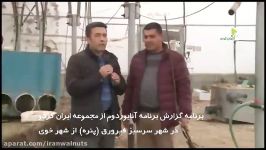 آنایوردوم  ایران گردو2  تولید نهال چندلر  فرنور  هاوارد  ژنوتیپ برترایرانی