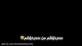 محسن لرستاني شاشه سوداء