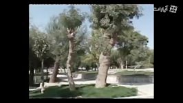 همدان پایتخت تاریخ تمدن ایران