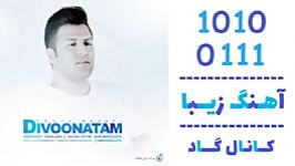 اهنگ پویا بیاتی به نام دیوونتم  کانال گاد