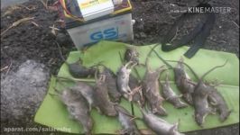 آموزش ساخت تله موش برقی بسیار ترسناک خطرناک مرزعه یا باغ صدتا صدتا موش بکش HD
