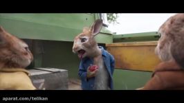 تریلر فیلم Peter Rabbit 2 The Runaway