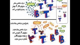 نقص ایمنی اکتسابی مادرزادی