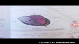 آموزش نوار قلب به زبان ساده ecg قسمت دوم