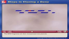 Cloning gene