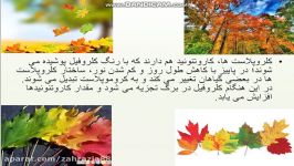 آموزش مجازیصوتی تصویری زیست 1دهم  فصل 6 گفتار1 بخش سوم