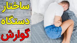 حل تست چالشی ساختار دستگاه گوارش