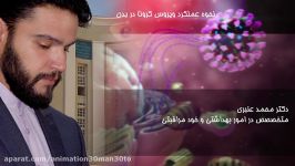 سیستم ایمنی بدن در مقابله کرونا چه کاری انجام میدهد