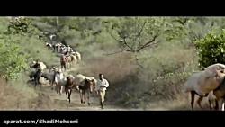 فیلم سینمایی پرندگان گذرگاه Birds of Passage 2018 ‌