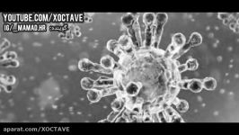 ویروس جدید هانتا+توضیحات کامل در مورد این ویروس خطرناک حتما ببینید