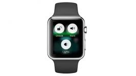 Apple Watch Tesla Car app screencast