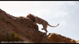 تریلر انیمیشن شیر شاه  The Lion King 2019