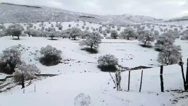 روستای تلدراز لوداب یاسوج 139914