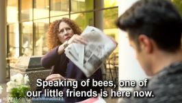 Lets Learn English Level 2 Lesson 12 Run Bees