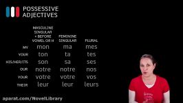 Lesson 35. French Possessive Adjectives Plural