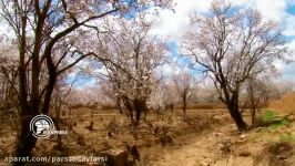 خودنمایی طبیعت زیبای بهاری میمه در سایه کرونا