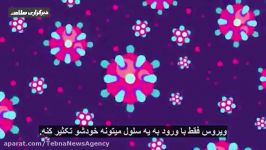 هر آنچه باید درباره‌ی ویروس کرونا بدانید