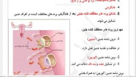 جایگزینی تشکیل پرده های محافظت کننده جنینی