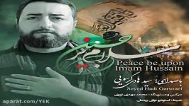 آهنگ سید هادی گرسویی  سلام بر حسین