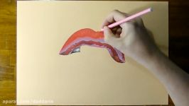 تایم لپس نقاشی سه بُعدی لب های قرمز زن