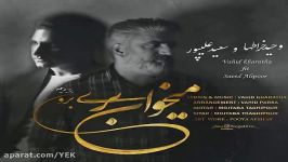 آهنگ وحید خراطها سعید علیپور  میخوای بری برو