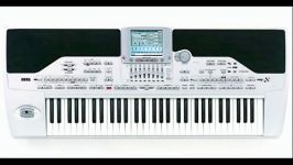 KORG pa1x...string