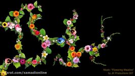 پروژه آماده افترافکت رشد گل Videohive Growing Vines and Flowers 19355384