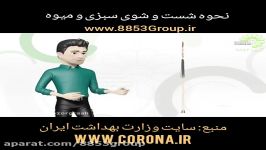 نحوه ضد عفونی میوه سبزیجات در دوران کرونا