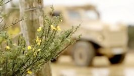 خودروی زرهی Foxhound انگلستان