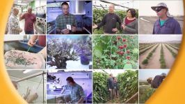 Agriculture in the Negev Today’s Desert Pioneers