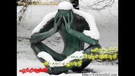 کلماتی بفرست...که شهید تو شوم...