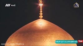 دعای فرج امام زمان عج در حرم امام رضا ع