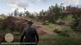 مکان تبر در بازی red dead 2