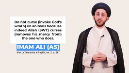 3 Prophet Muhammad SAWA and The Cat